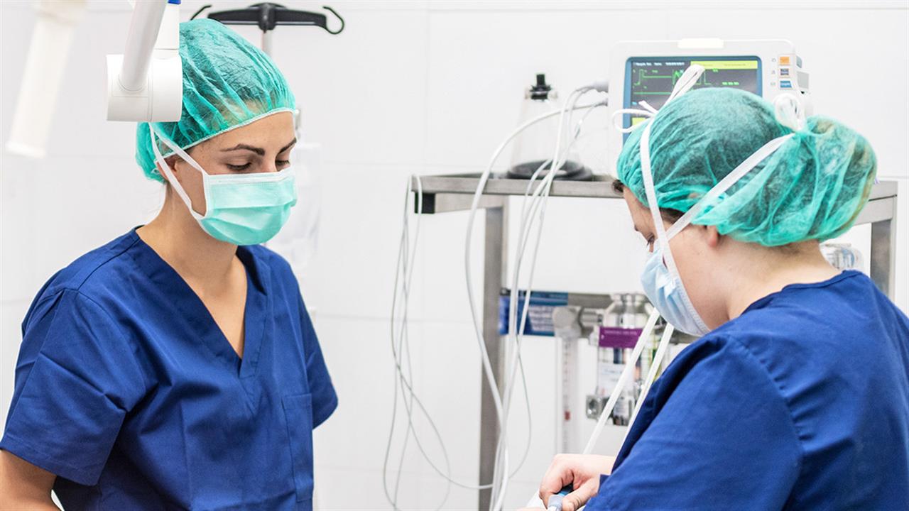 Το 65% των εργαζομένων στο ΕΣΥ είναι γυναίκες - Μισθός 836 ευρώ για νοσηλεύτρια ΠΕ