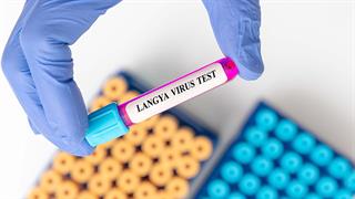 ECDC: Μικρός ο κίνδυνος μόλυνσης των Ευρωπαίων από τον ιό Langya
