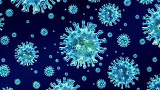 Οι ιοί της γρίπης υποκλέπτουν τον μηχανισμό εισαγωγής σιδήρου στα κύτταρα