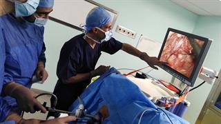 TaTME-TTSS Hands-On Cadaveric Dissection Course