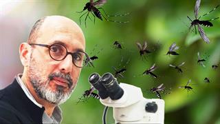 Χριστούγεννα με κουνούπια - Ο 