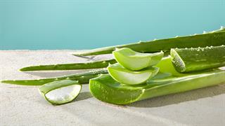 Aλόη: Πώς βοηθά σε προβλήματα υγείας