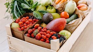 Φυτοφάρμακα: Κίνδυνος για τα ωφέλιμα εντερικά βακτήρια;