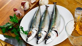 Ποιες τροφές αυξάνουν την καλή χοληστερόλη