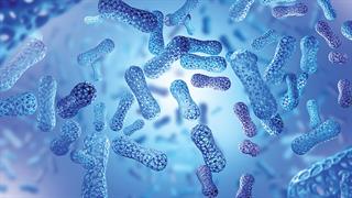 Προβιοτικά: Τι είναι και πώς βοηθούν