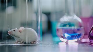 Μοντέλα δέρματος από τρισδιάστατο εκτυπωτή ως εναλλακτική στα πειράματα σε ζώα