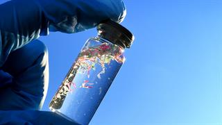 Μικροπλαστικά και νανοπλαστικά επιδεινώνουν τις φλεγμονές του εντέρου