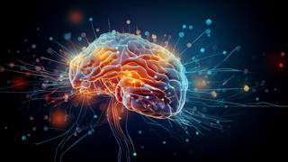 Τα μαθηματικά αποκαλύπτουν πώς 