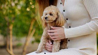 Ο FDA ενέκρινε το πρώτο φάρμακο που καθυστερεί την καρδιακή ανεπάρκεια σε σκύλους