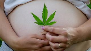 Η κάνναβη στην εγκυμοσύνη συνδέεται με σχιζοφρένεια στο παιδί μελλοντικά [μελέτη]