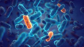 Νέο γρήγορο τεστ για ανθεκτικά βακτήρια στα νοσοκομεία