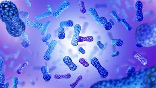 Μικρόβια σε όγκους επηρεάζουν την αποτελεσματικότητα των θεραπειών