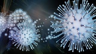 Στην Ελλάδα η παραλλαγή 