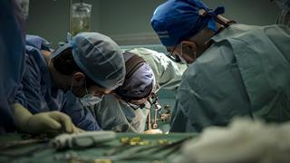 Στη Θεσσαλονίκη το 6ο Πανελλήνιο Συνέδριο της Ελληνικής Εταιρείας Κήλης