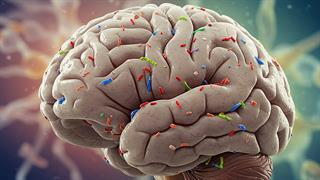 Ανίχνευση μικροπλαστικών σε  εγκεφαλικούς όγκους  και σε υγιή ιστό