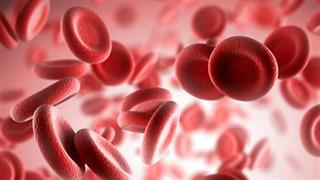 'Oταν το θεσμικό πλαίσιο εφαρμόζεται κατά το ήμισυ στη πράξη