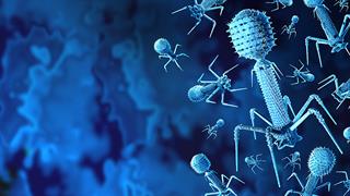 Θεραπεία με βακτηριοφάγους: Ελπίδα απέναντι στα ανθεκτικά μικρόβια