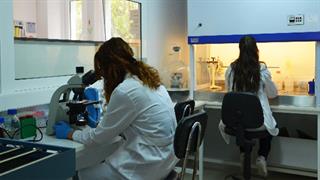 ΕΟΔΥ: 180 κρούσματα νόσου των λεγεωνάριων ετησίως στην Ελλάδα